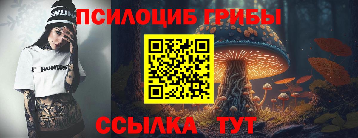 Псилоцибиновые грибы ЛСД  хочу наркоту  Новочеркасск  Вход с VPN 